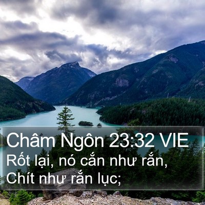 Châm Ngôn 23:32 VIE Bible Verse Image