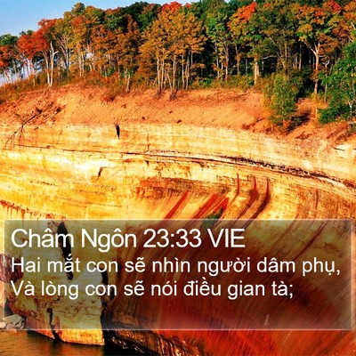 Châm Ngôn 23:33 VIE Bible Verse Image