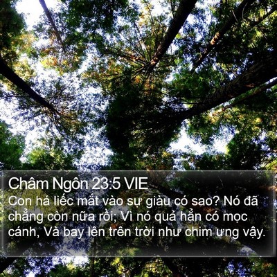 Châm Ngôn 23:5 VIE Bible Verse Image