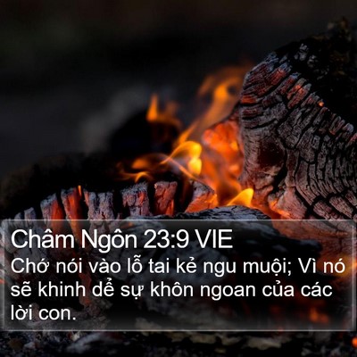 Châm Ngôn 23:9 VIE Bible Verse Image