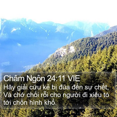 Châm Ngôn 24:11 VIE Bible Verse Image