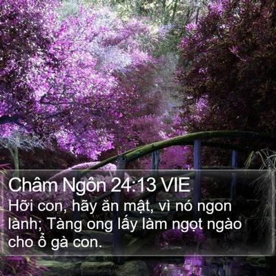 Châm Ngôn 24:13 VIE Bible Verse Image