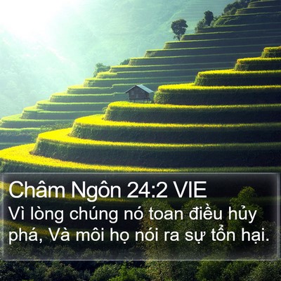 Châm Ngôn 24:2 VIE Bible Verse Image