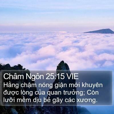 Châm Ngôn 25:15 VIE Bible Verse Image