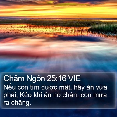 Châm Ngôn 25:16 VIE Bible Verse Image