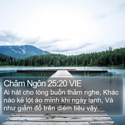 Châm Ngôn 25:20 VIE Bible Verse Image