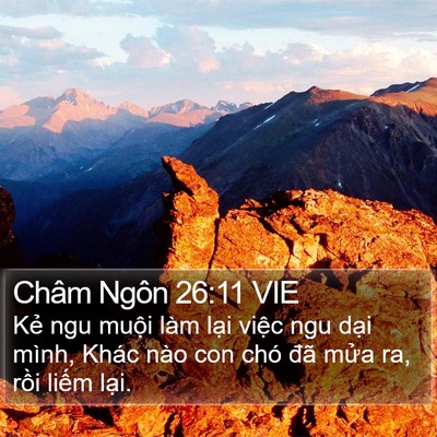 Châm Ngôn 26:11 VIE Bible Verse Image