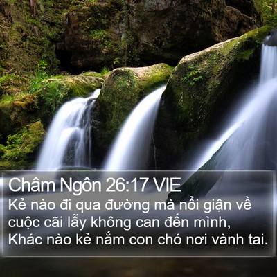 Châm Ngôn 26:17 VIE Bible Verse Image
