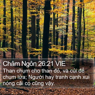 Châm Ngôn 26:21 VIE Bible Verse Image