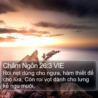 Châm Ngôn 26:3 VIE Bible Verse Image