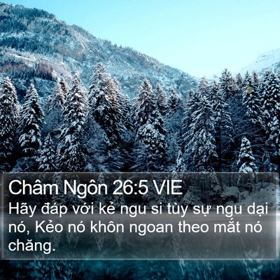 Châm Ngôn 26:5 VIE Bible Verse Image