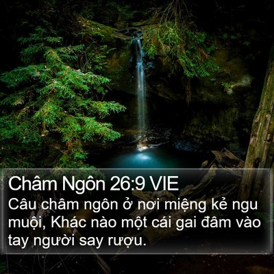 Châm Ngôn 26:9 VIE Bible Verse Image