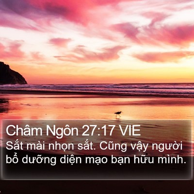 Châm Ngôn 27:17 VIE Bible Verse Image