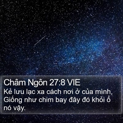 Châm Ngôn 27:8 VIE Bible Verse Image