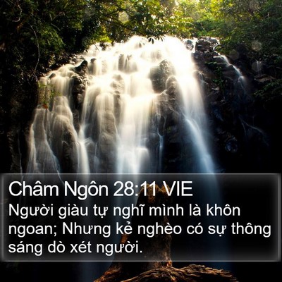 Châm Ngôn 28:11 VIE Bible Verse Image