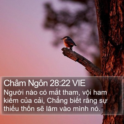 Châm Ngôn 28:22 VIE Bible Verse Image