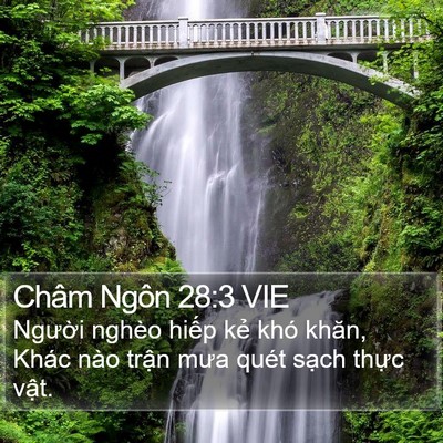Châm Ngôn 28:3 VIE Bible Verse Image