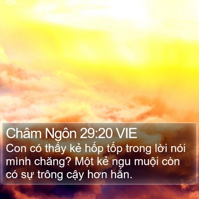 Châm Ngôn 29:20 VIE Bible Verse Image