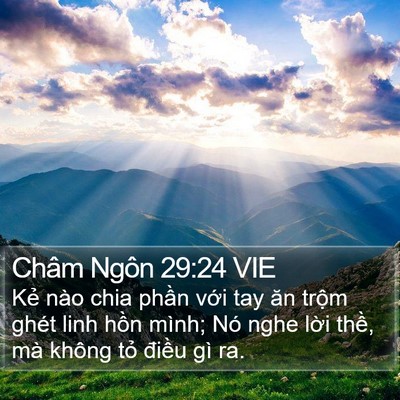 Châm Ngôn 29:24 VIE Bible Verse Image