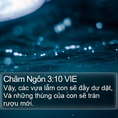 Châm Ngôn 3:10 VIE Bible Verse Image