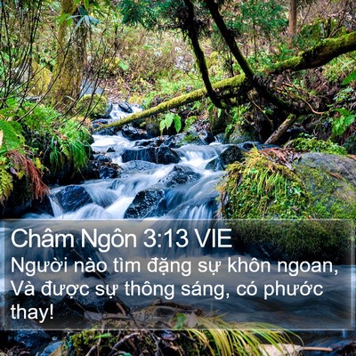Châm Ngôn 3:13 VIE Bible Verse Image