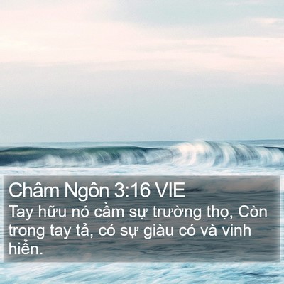 Châm Ngôn 3:16 VIE Bible Verse Image