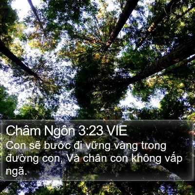 Châm Ngôn 3:23 VIE Bible Verse Image
