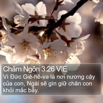 Châm Ngôn 3:26 VIE Bible Verse Image