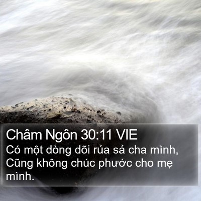 Châm Ngôn 30:11 VIE Bible Verse Image
