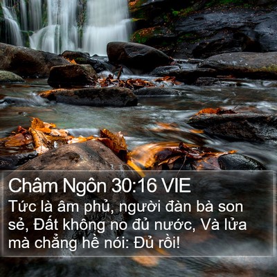 Châm Ngôn 30:16 VIE Bible Verse Image