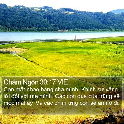 Châm Ngôn 30:17 VIE Bible Verse Image