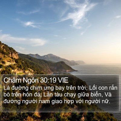 Châm Ngôn 30:19 VIE Bible Verse Image