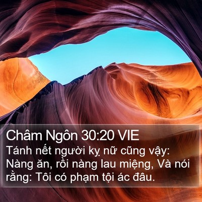 Châm Ngôn 30:20 VIE Bible Verse Image