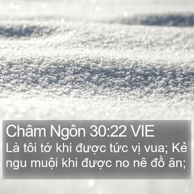 Châm Ngôn 30:22 VIE Bible Verse Image