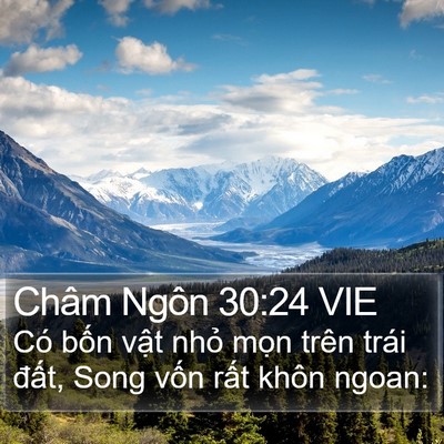 Châm Ngôn 30:24 VIE Bible Verse Image