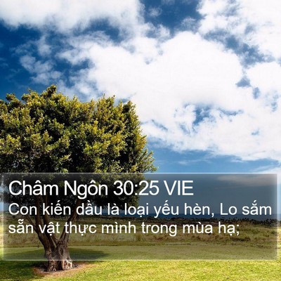 Châm Ngôn 30:25 VIE Bible Verse Image