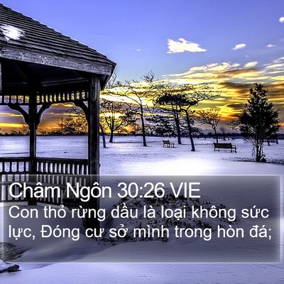 Châm Ngôn 30:26 VIE Bible Verse Image