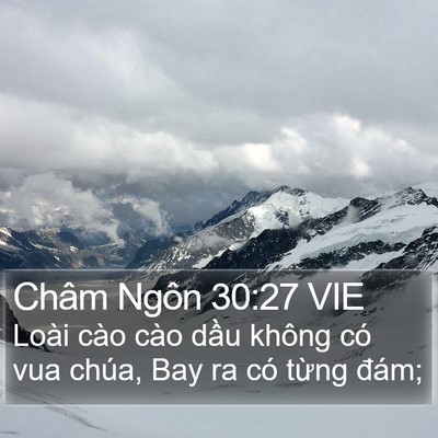 Châm Ngôn 30:27 VIE Bible Verse Image
