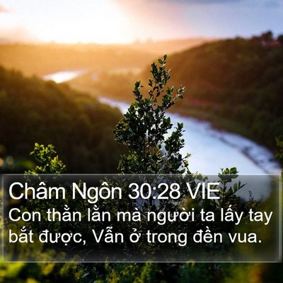 Châm Ngôn 30:28 VIE Bible Verse Image