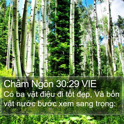 Châm Ngôn 30:29 VIE Bible Verse Image