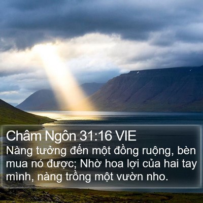 Châm Ngôn 31:16 VIE Bible Verse Image