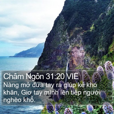 Châm Ngôn 31:20 VIE Bible Verse Image