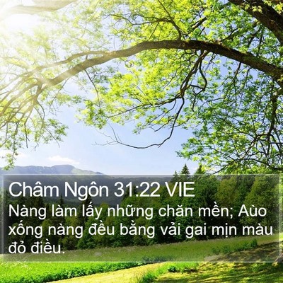 Châm Ngôn 31:22 VIE Bible Verse Image