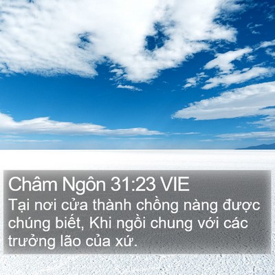 Châm Ngôn 31:23 VIE Bible Verse Image