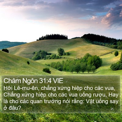 Châm Ngôn 31:4 VIE Bible Verse Image