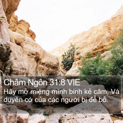 Châm Ngôn 31:8 VIE Bible Verse Image