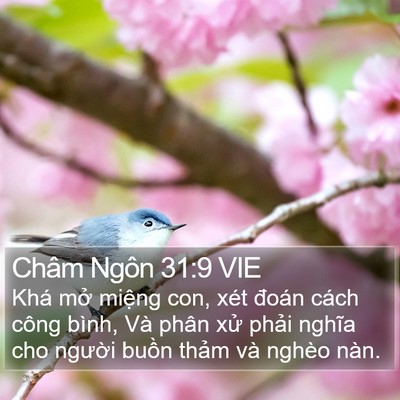 Châm Ngôn 31:9 VIE Bible Verse Image