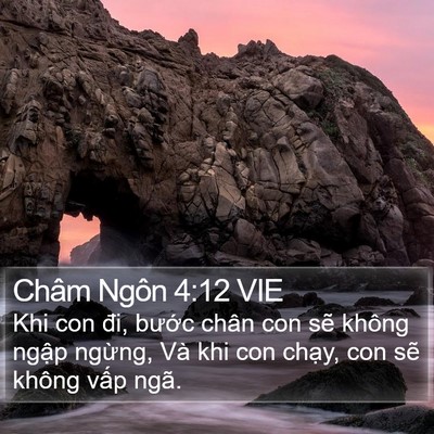 Châm Ngôn 4:12 VIE Bible Verse Image