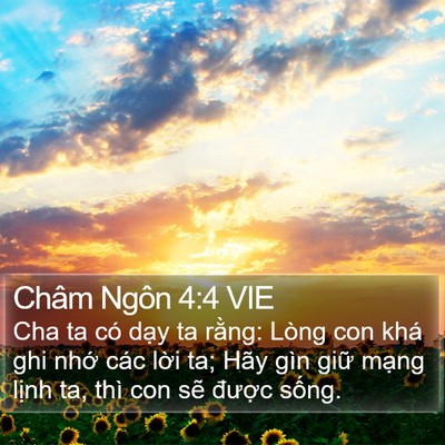 Châm Ngôn 4:4 VIE Bible Verse Image