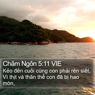 Châm Ngôn 5:11 VIE Bible Verse Image